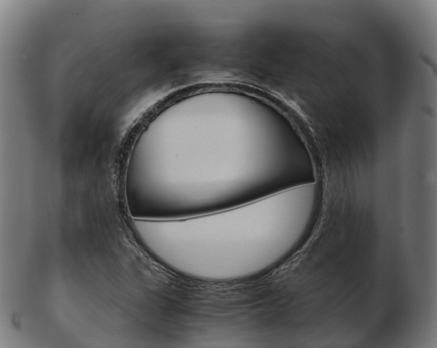 X0000103501311200809121003