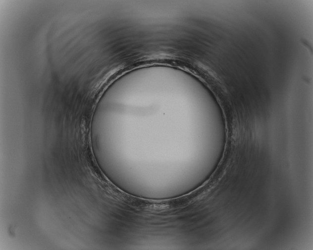 X0000103501313200809121003