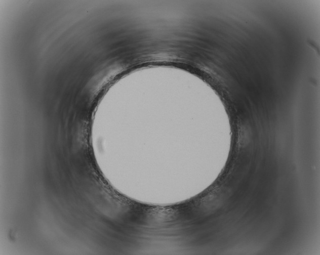 X0000103501314200809121003