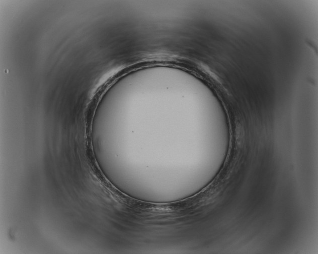 X0000103501315200809121003