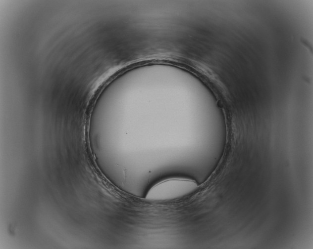 X0000103501316200809121003