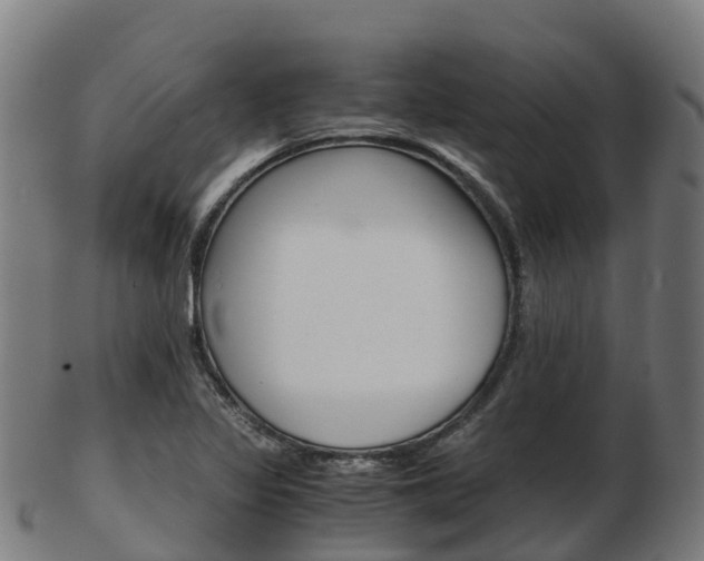 X0000103501317200809121003