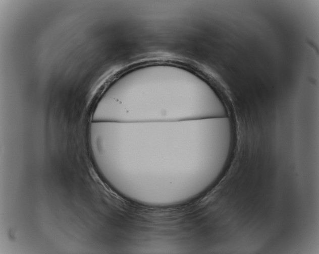 X0000103501318200809121003