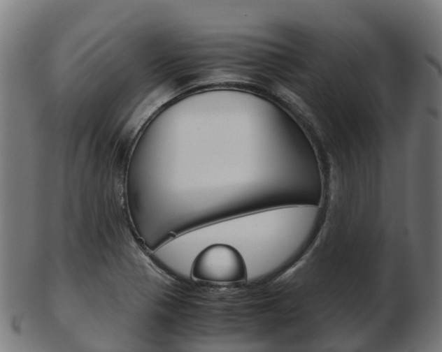 X0000103501321200809121003