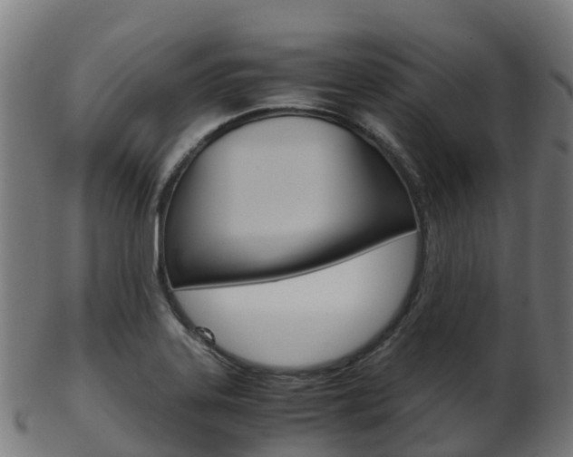 X0000103501323200809121003