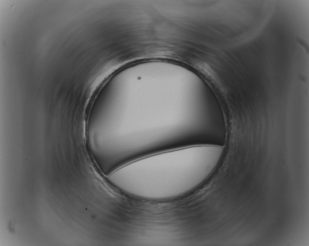 X0000103501324200809121003