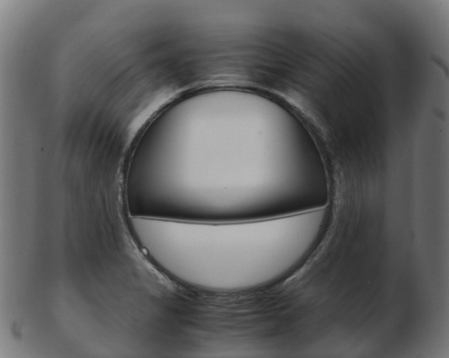 X0000103501325200809121003