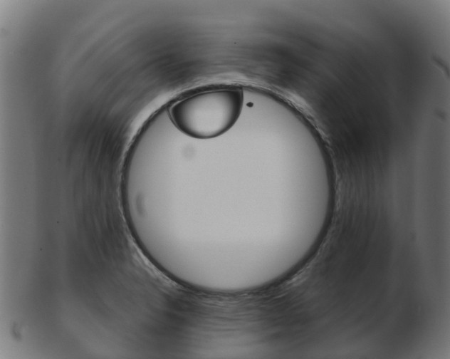 X0000103501326200809121003