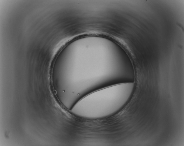 X0000103501327200809121003