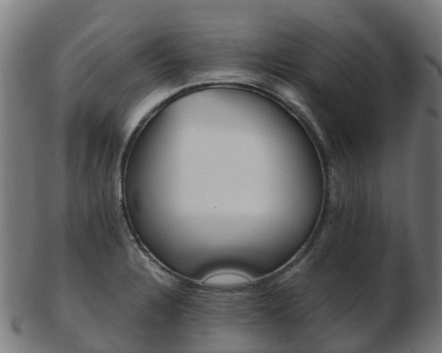 X0000103501328200809121003