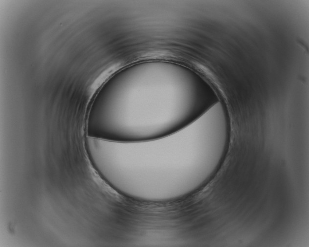 X0000103501330200809121003