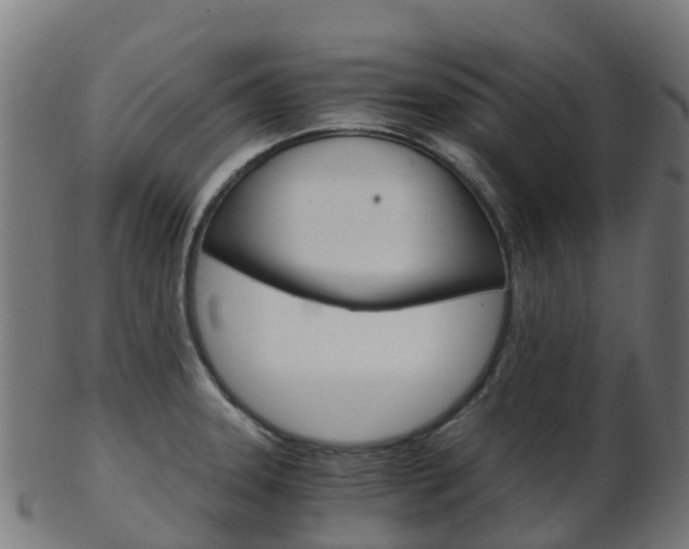 X0000103501331200809121004