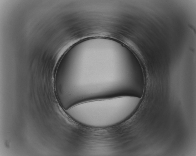 X0000103501332200809121004