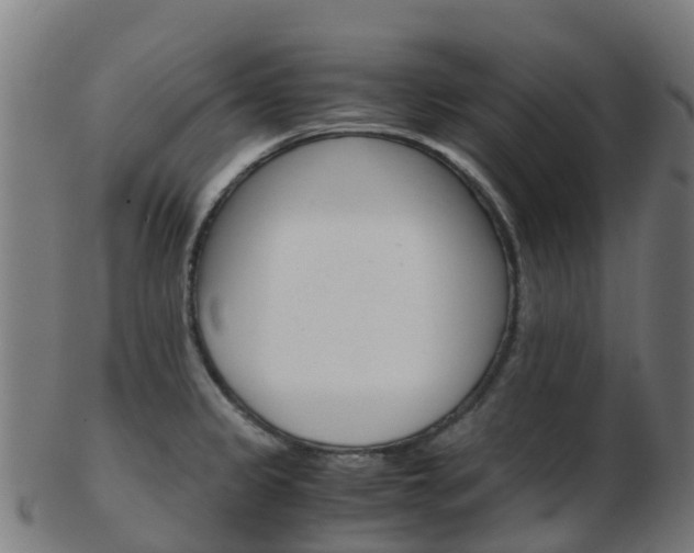 X0000103501333200809121004