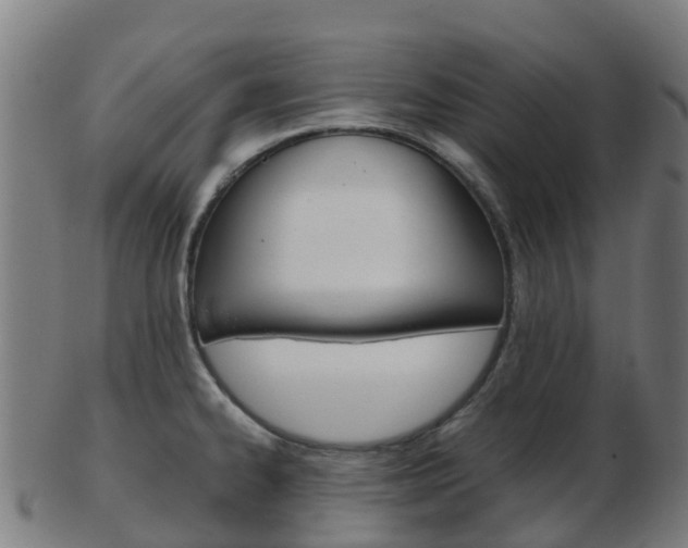 X0000103501334200809121004