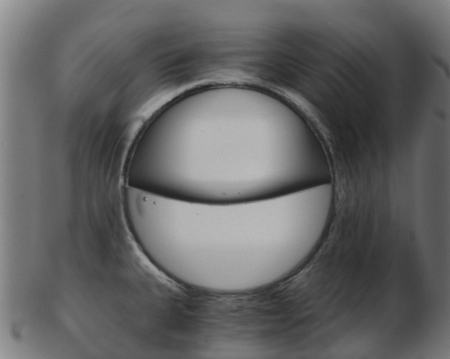 X0000103501335200809121004