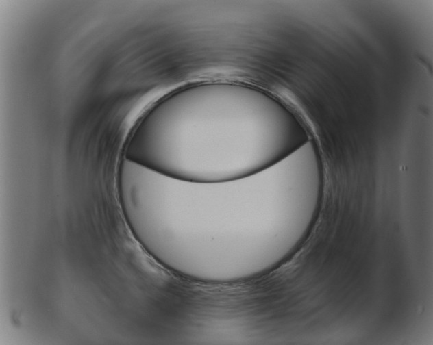 X0000103501336200809121004
