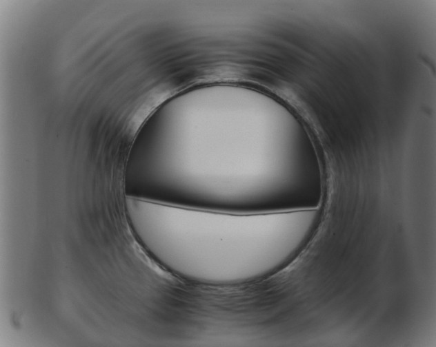 X0000103501337200809121004