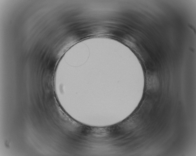 X0000103501338200809121004