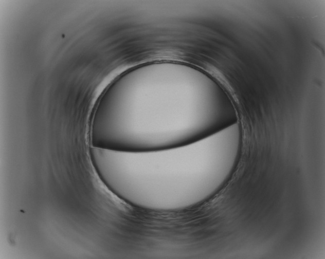 X0000103501339200809121004