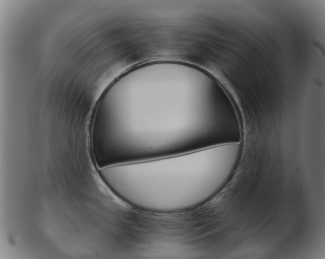 X0000103501341200809121004