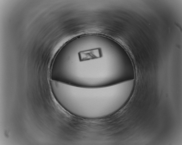 X0000103501342200809121004