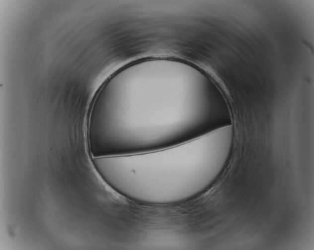 X0000103501343200809121004