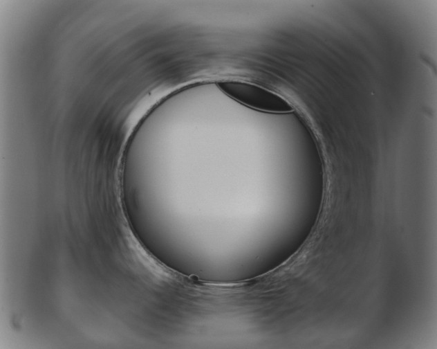 X0000103501344200809121004