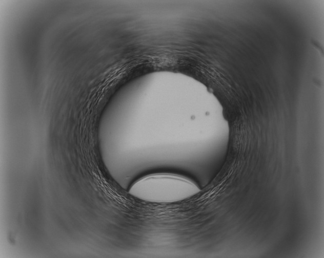 X0000103501345200809121003
