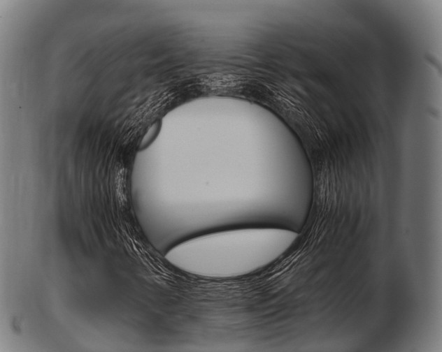 X0000103501346200809121003