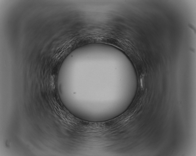 X0000103501347200809121003