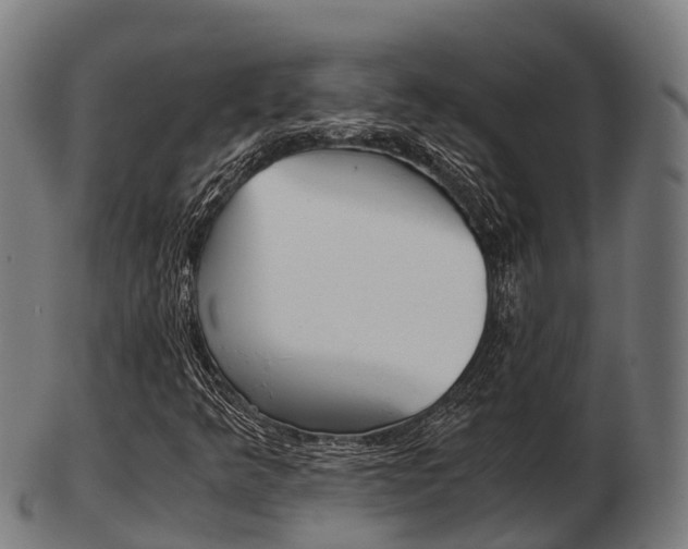 X0000103501349200809121003