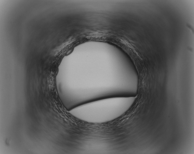 X0000103501350200809121003