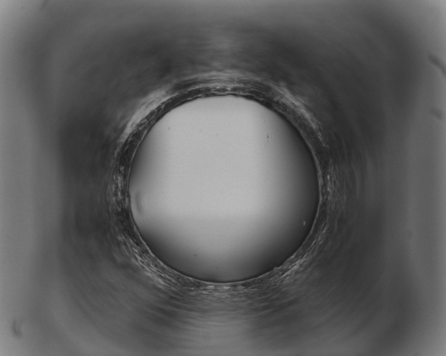 X0000103501352200809121003