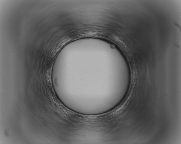 X0000103501353200809121003