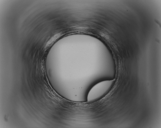 X0000103501354200809121003