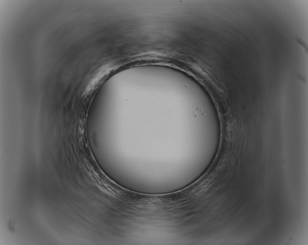 X0000103501355200809121003