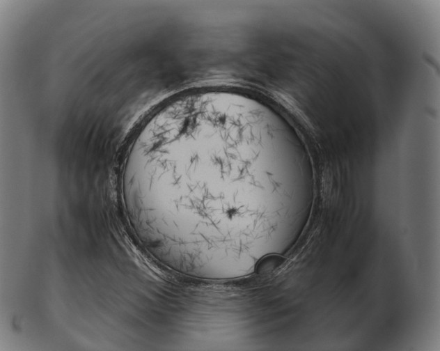 X0000103501356200809121003