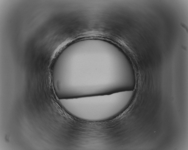 X0000103501358200809121003
