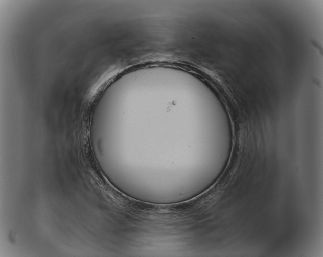 X0000103501359200809121003