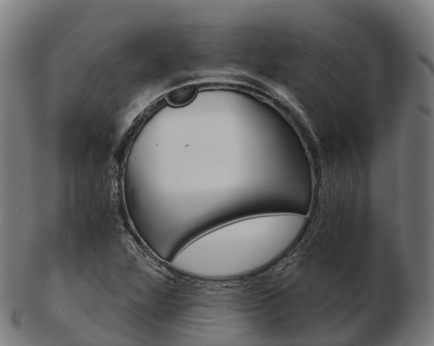 X0000103501360200809121003