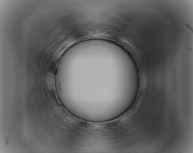 X0000103501361200809121003