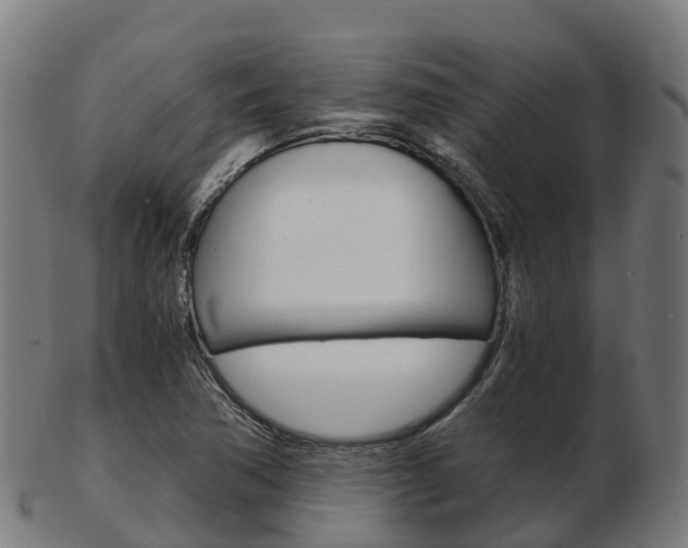 X0000103501362200809121003