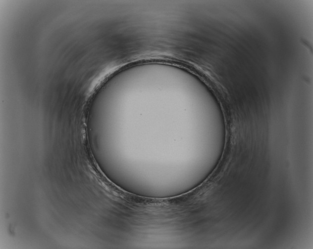 X0000103501363200809121003