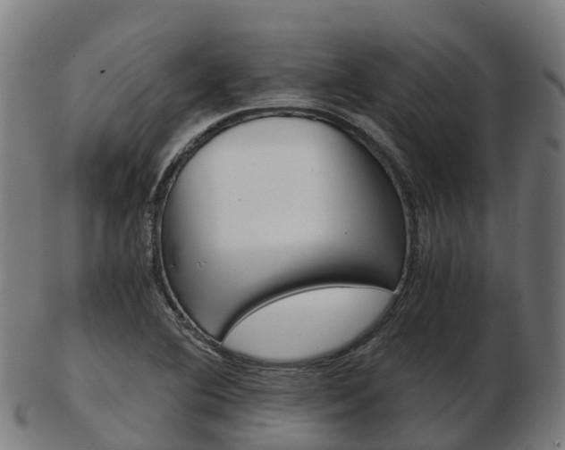 X0000103501364200809121003