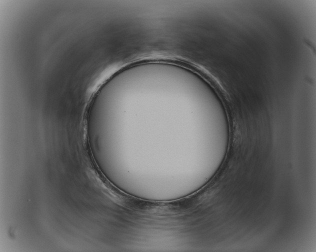 X0000103501367200809121003
