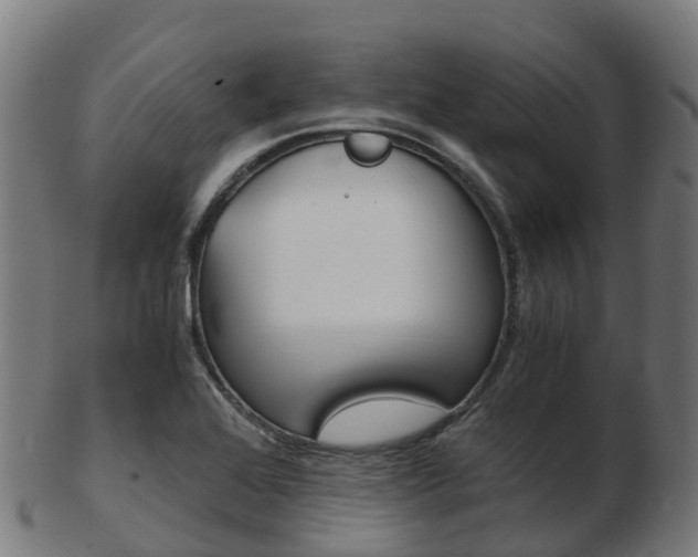 X0000103501368200809121003