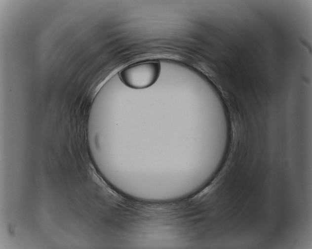X0000103501369200809121003
