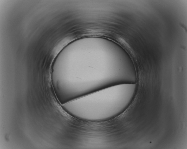 X0000103501370200809121003