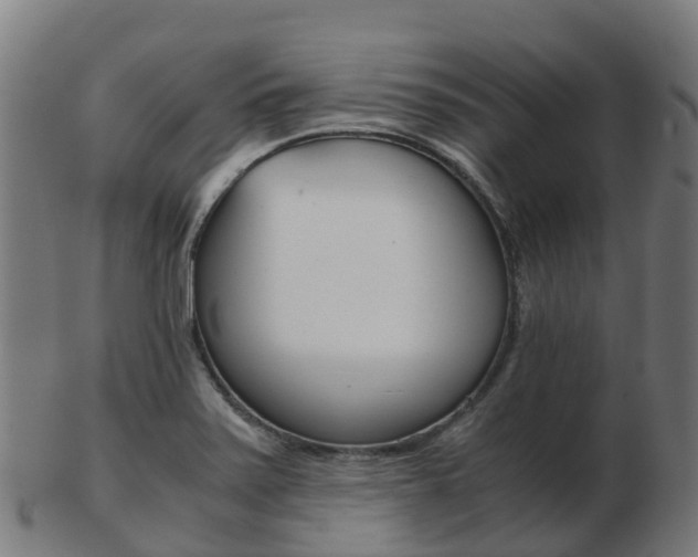 X0000103501371200809121003